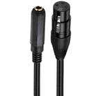 6.35mm Female to XLR Female JUNSUNMAY Speaker Audio Amplifier Connection Cable, Length: 50cm - 1