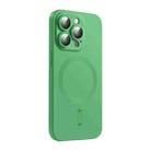 For iPhone 16 Pro Max ENKAY MagSafe Matte TPU Phone Case with Lens Film(Green) - 1