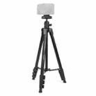 YUNTENG VCT-580 DSLR Camera Telescopic Tripod Mount with 1 / 4 Screw - 1