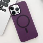 For iPhone 14 Pro Ice Fog MagSafe PC Phone Case(Purple) - 1