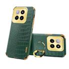 For Xiaomi 14 6D Electroplating Crocodile Texture Leather Back Phone Case with Holder(Green) - 1