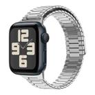 For Apple Watch SE 2023 44mm Bamboo Magnetic Stainless Steel Metal Watch Strap(Silver) - 1