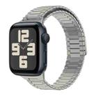 For Apple Watch SE 2023 44mm Bamboo Magnetic Stainless Steel Metal Watch Strap(Titanium Color) - 1