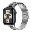 For Apple Watch SE 2023 44mm Bamboo Magnetic Stainless Steel Metal Watch Strap(Silver Black) - 1