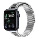 For Apple Watch SE 2022 40mm Bamboo Magnetic Stainless Steel Metal Watch Strap(Silver Black) - 1