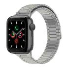 For Apple Watch Series 5 44mm Bamboo Magnetic Stainless Steel Metal Watch Strap(Titanium Color) - 1