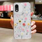 For iPhone XR Spring Garden Epoxy TPU Phone Case(F01 Love of Butterfly) - 1