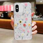 For iPhone XS Max Spring Garden Epoxy TPU Phone Case(F01 Love of Butterfly) - 1