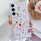 For Samsung Galaxy S24+ 5G Spring Garden Epoxy TPU Phone Case(F01 Love of Butterfly) - 1