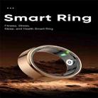 R02 SIZE 8 Smart Ring, Support Heart Rate / Blood Oxygen / Sleep Monitoring / Multiple Sports Modes(Black) - 5