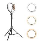 JMARY FM-536A 10 inch Ring Live Fill Light Streaming Stand Beauty Light Set - 1
