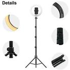 JMARY FM-536A 10 inch Ring Live Fill Light Streaming Stand Beauty Light Set - 2