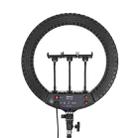 JMARY FM-18R LED Beauty Ring Light 18-inch Photography Live Streaming Fill Light(US Plug) - 1