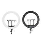 JMARY FM-21R With Remote Control Phone Clip 21-inch Dimmable LED Ring Light(EU Plug) - 1
