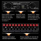 B071 4 Input 2 Output or 2 In 4 Out Power Amplifier Speaker Selector Switcher - 3