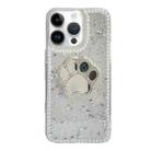 For iPhone 13 Pro Max Cat Claw Mirror TPU Phone Case(Silver) - 1