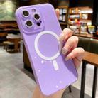 For iPhone 15 Pro Max Jelly Glitter Solid Color MagSafe TPU Phone Case(Taro Purple) - 1