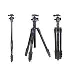 JMARY KT285+NB40 Live Streaming Photography Monopod Tripod Detachable Camera Stand - 1