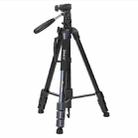 JMARY KP-2294 Detachable 179cm 4-section Adjustable Monopod Panoramic Photography Tripod - 1