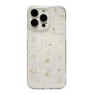 For iPhone 16 Pro Moon Star Shell Glitter Epoxy TPU Phone Case(Transparent) - 1