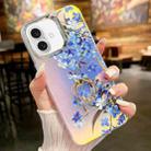 For iPhone 16 Plus Electroplating Laser Flower Ring Holder TPU Phone Case(Myosotis AH2) - 1