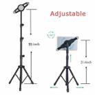 XWJ-LP002 For 7.9-12 inch Tablet Portable 360 Degree Rotation  Aluminum Alloy Tripod - 3