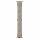 For Apple Watch SE 2023 44mm One-bead Paint Alloy Butterfly Buckle Watch Band(Titanium Color) - 2