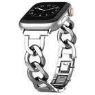 For Apple Watch Series 3 42mm Quick-Release Metal Chain Watch Band(Silver) - 2