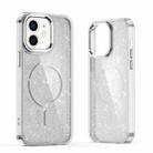 For iPhone 11 Glitter MagSafe Shockproof Phone Case(Grey) - 1