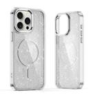 For iPhone 16 Pro Max Glitter MagSafe Shockproof Phone Case(Grey) - 1