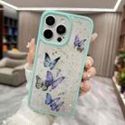 For iPhone 16 Pro Max Color Butterfly Glitter Epoxy TPU Phone Case(Green) - 1