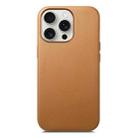 For iPhone 16 Pro Electroplated Metal Button Shockproof Phone Case(Brown) - 1