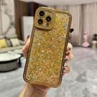 For iPhone 15 Pro Max Diamond Glitter Sequins TPU Phone Case(Gold) - 1