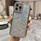 For iPhone 15 Pro Max Diamond Glitter Sequins TPU Phone Case(Silver) - 1