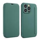 For iPhone 16 Imitate Liquid Skin Feel Leather Phone Case with Card Slots(Dark Green) - 1