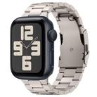 For Apple Watch SE 2023 44mm Three Beads Titanium Alloy Metal Watch Band(Titanium Color) - 1