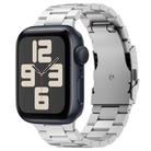 For Apple Watch SE 2023 44mm Three Beads Titanium Alloy Metal Watch Band(Silver) - 1