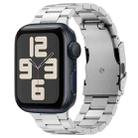 For Apple Watch SE 2023 40mm Three Beads Titanium Alloy Metal Watch Band(Silver) - 1