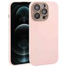 For iPhone 12 Pro Max Plain Imitation Leather Back Cover Phone Case(Pink) - 1