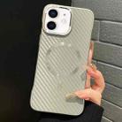 For iPhone 11 AG Carbon Fiber Frameless MagSafe Phone Case(Grey) - 1