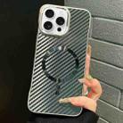 For iPhone 12 Pro AG Carbon Fiber Frameless MagSafe Phone Case(Black) - 1