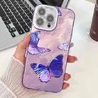 For iPhone 16 Pro Max Plating Texture Butterfly TPU Phone Case with Glitter Lens Film(Purple Butterflies HU4) - 1