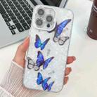 For iPhone 14 Pro Plating Texture Butterfly TPU Phone Case with Glitter Lens Film(Blue Butterflies HU3) - 1