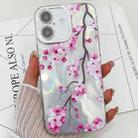 For iPhone 16 Plus Electroplating Flowers Plants Texture TPU Phone Case(Plum Flower FL6) - 1