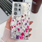 For Samsung Galaxy S23 Ultra 5G Electroplating Flowers Plants Texture TPU Phone Case(Carnation FL7) - 1
