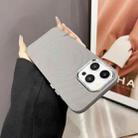 For iPhone 15 Pro Max Wave MagSafe Silver Lens Frame TPU Phone Case(Grey) - 1