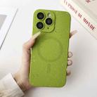 For iPhone 11 Pro Starry Sky TPU Shockproof MagSafe Phone Case(Green) - 1