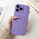 For iPhone 11 Pro Max Starry Sky TPU Shockproof MagSafe Phone Case(Purple) - 1