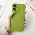 For iPhone 12 Starry Sky TPU Shockproof MagSafe Phone Case(Green) - 1