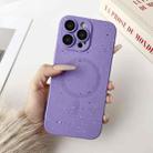 For iPhone 12 Pro Max Starry Sky TPU Shockproof MagSafe Phone Case(Purple) - 1